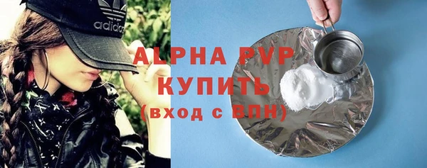 твердый Протвино
