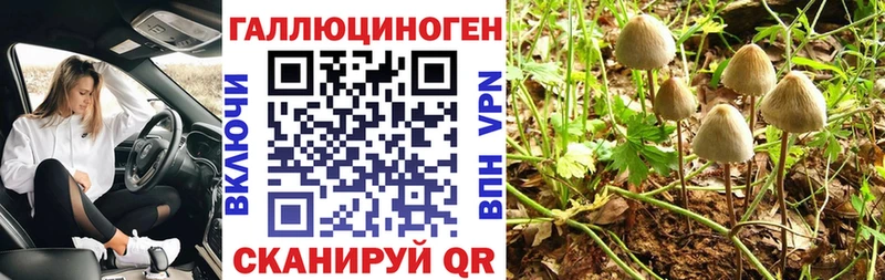 hydra зеркало  Темников  Псилоцибиновые грибы MAGIC MUSHROOMS  закладки 