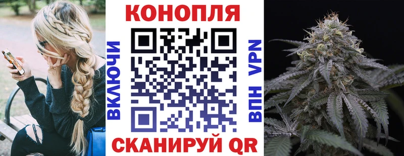 Бошки Шишки THC 21%  Темников 